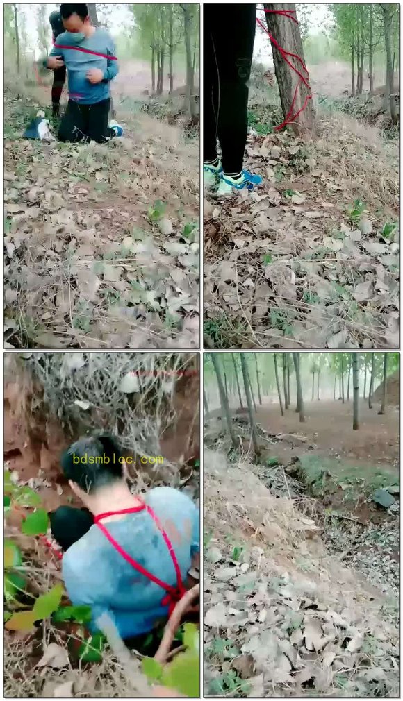 【灵犀女ss】野调羞辱贱狗