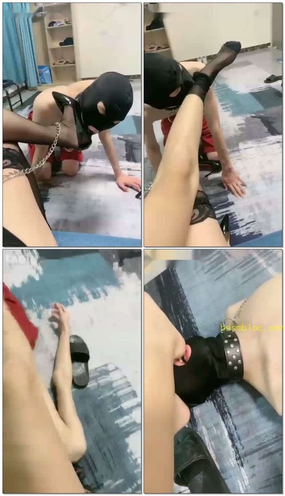 【希希s】圈养狗开发（2）高跟黑丝狗奴驯直接圣水+口水