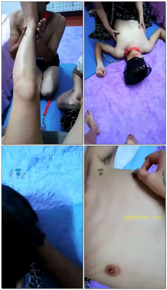 【蝶恋花S】调教母子奴，一公一母