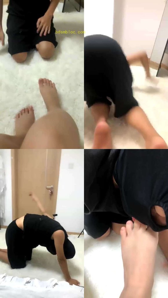 【婉婉s】调教一个贱到极致的狗（二）