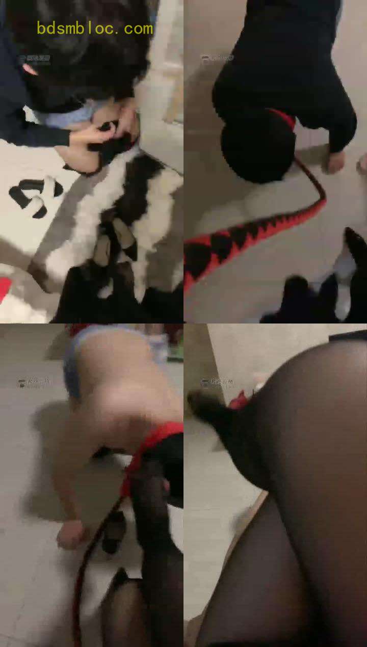 【雨曦ss】黑丝女主玩狗