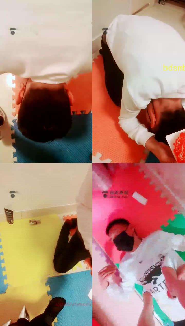 【聊城魅影S】给死人马桶做的生日黄金蛋糕