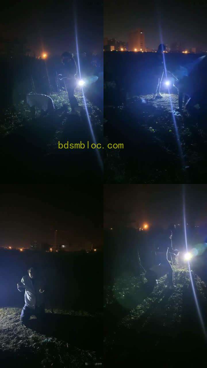 【晨颜s】TJ夜晚的野外活动遛狗鞭子暴打骑马