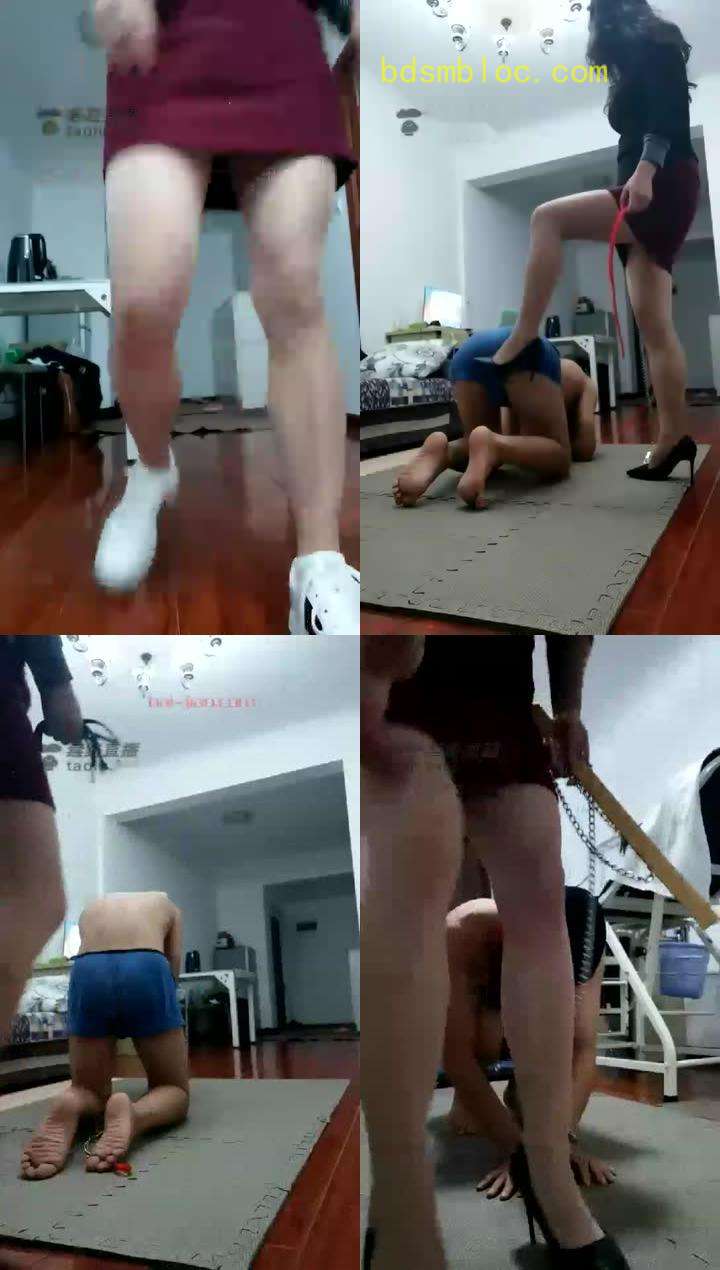 【幸运女王】畜生何其多