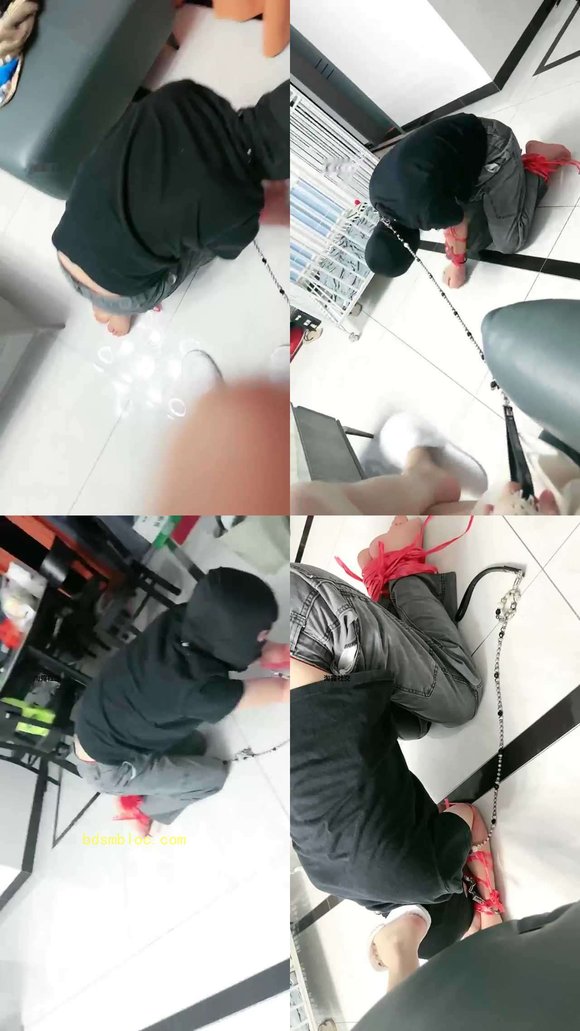 【黛樱】捆绑家奴彻底犬化