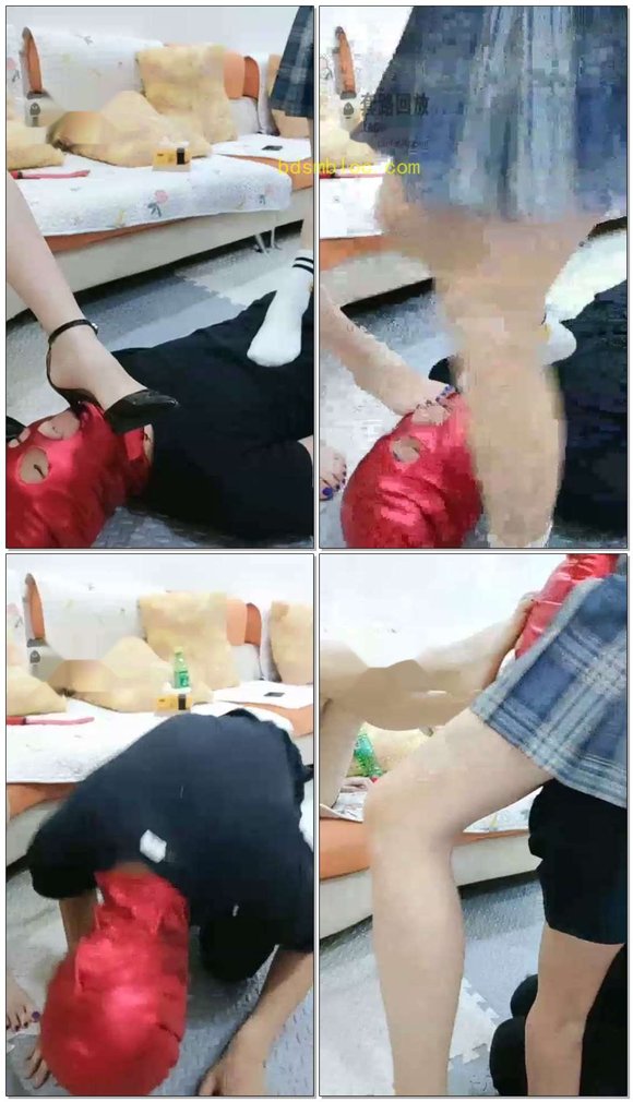 【肆琪】双主调狗