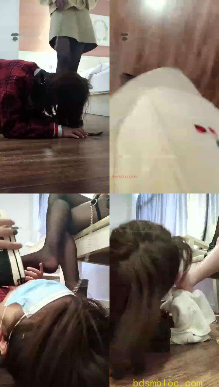 【哈宝s】母狗头上高贵的脚，被踩还要舔