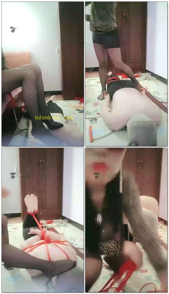 【红丽S】黑丝调狗，捆绑