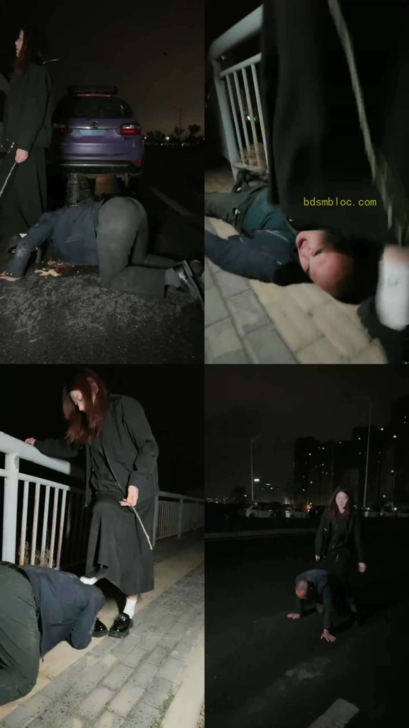 【西北傻子】户外狂风暴雨中虐傻子