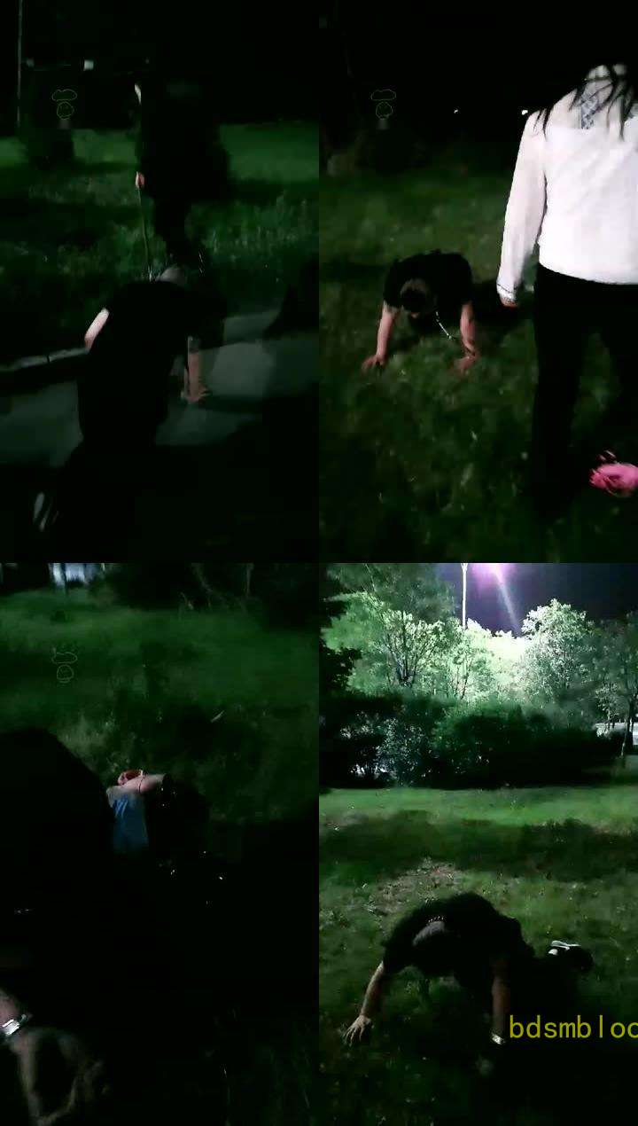 【丝皇女王】野外给贱狗上课