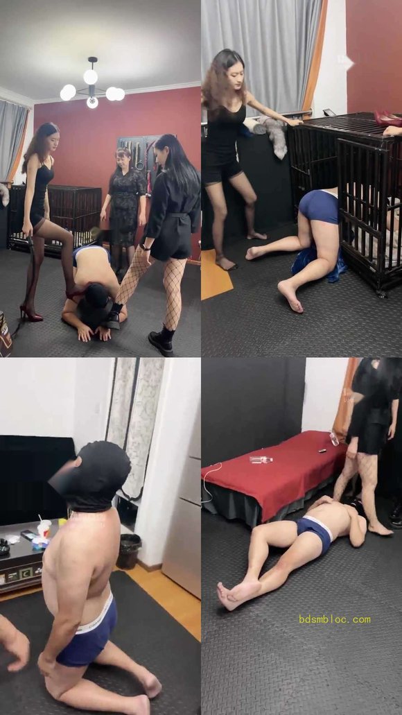 【Da猫】3女主玩狗狗
