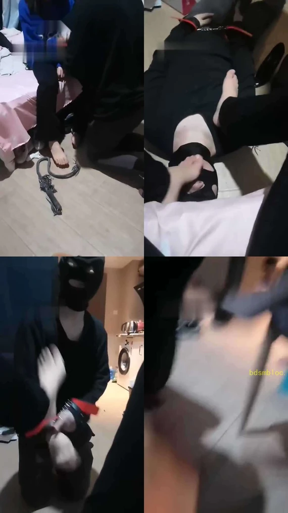 【潍坊小梦女主】多素人S共同调狗