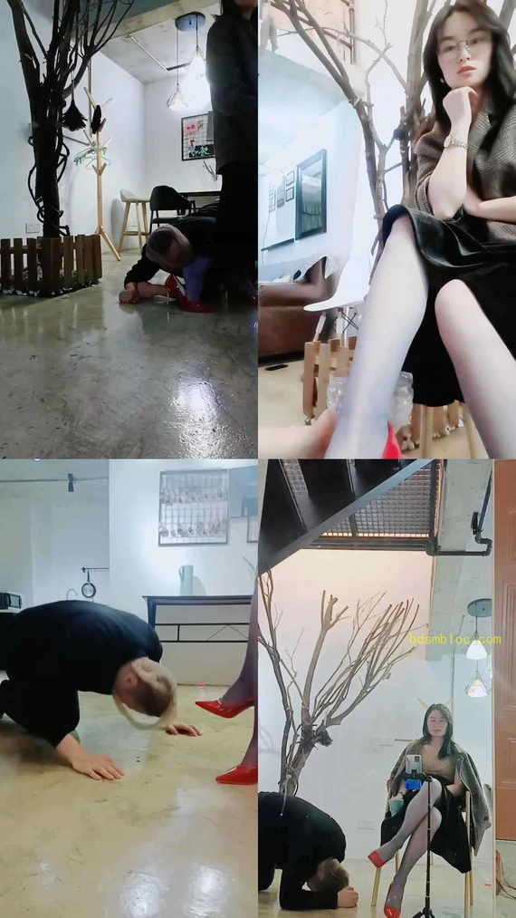 【绯闻王妃】圈养狗犬化爬行/打手心/重口强制喂食