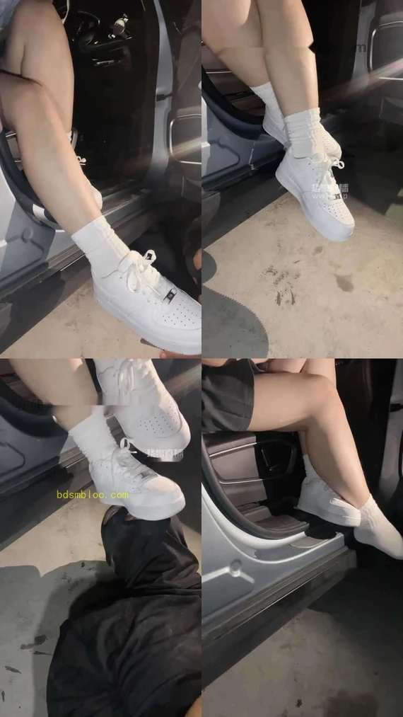 【李园长s】户外训狗，不爽翻不散场