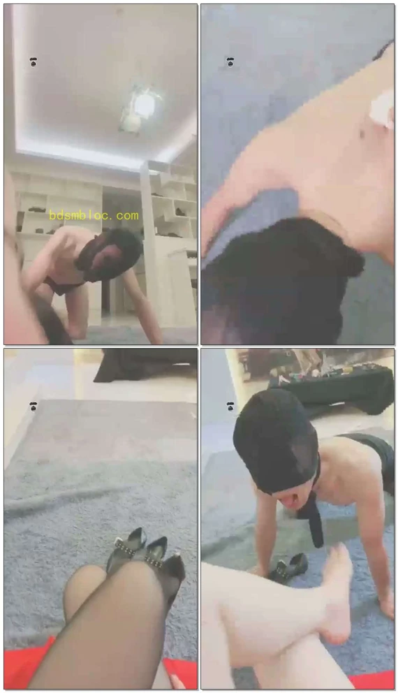 【妖妖学姐】呕吐，姨妈纸训狗