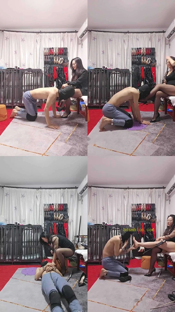 【南荣S】新狗开发看小奶狗被虐