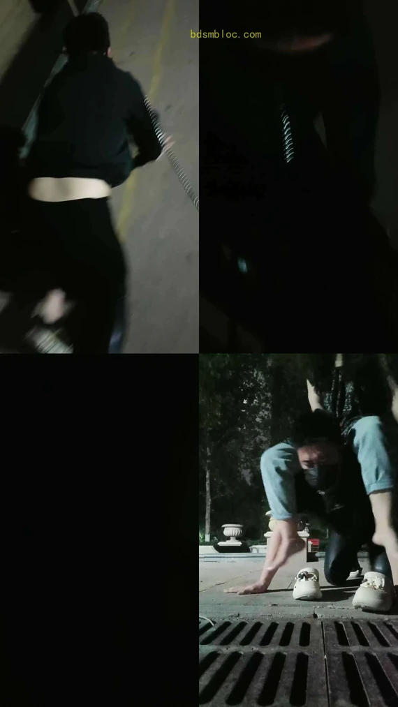 【珍惜女王】楼下遛狗