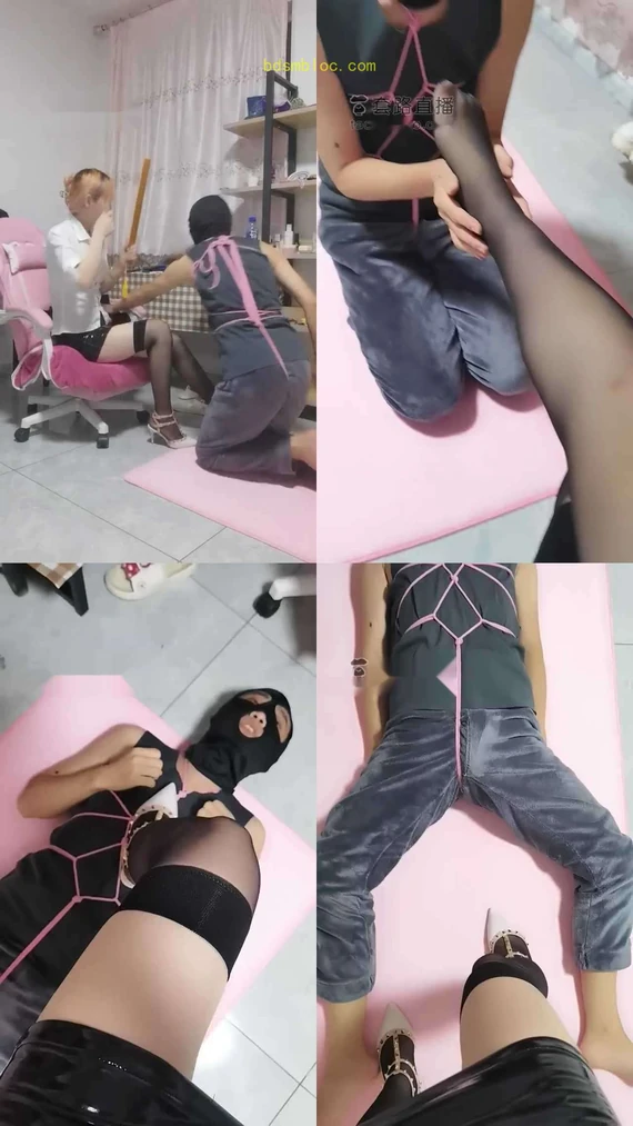 【初处】室内训狗第二天