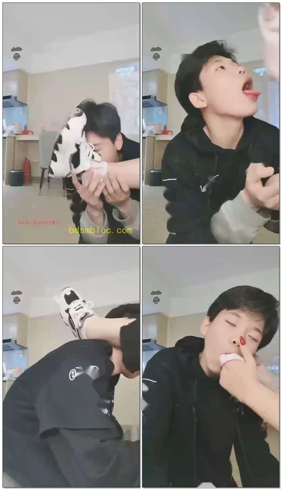 【一只大喵】精神小狗闻香棉袜