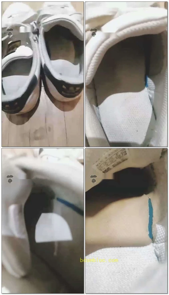 【萌女王s】WX视频网调狗狗磕头
