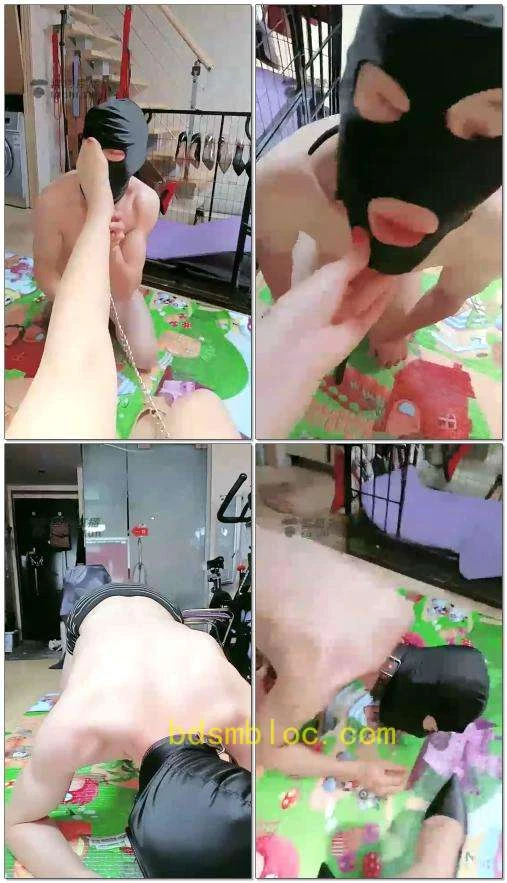 【林夕女王】没见过这么下贱的狗东西，给鞋磕头