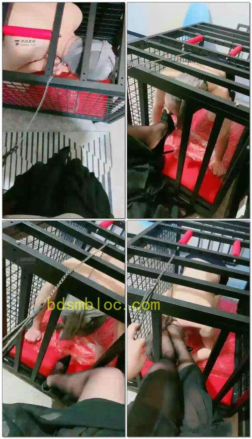 【无情大人】狗笼内调教舔脚狗