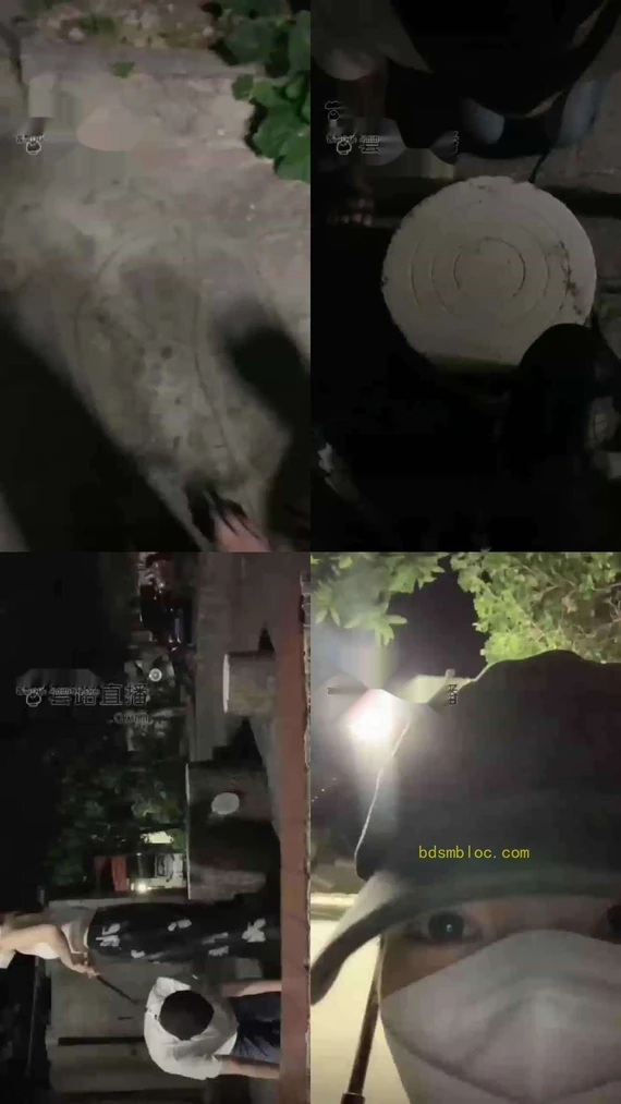 【宝爷Li】户外遛狗