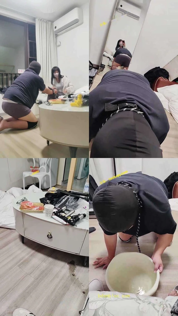 【暴力柚子】圈养小胖狗的一天