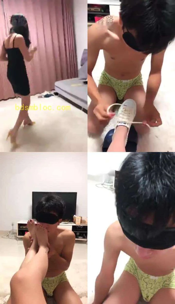 【汐月】派任务给萌新笨狗狗