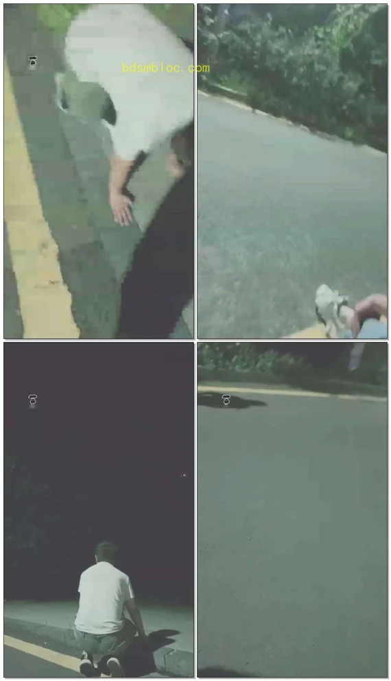 【贵阳妖妖学姐】户外驯犬