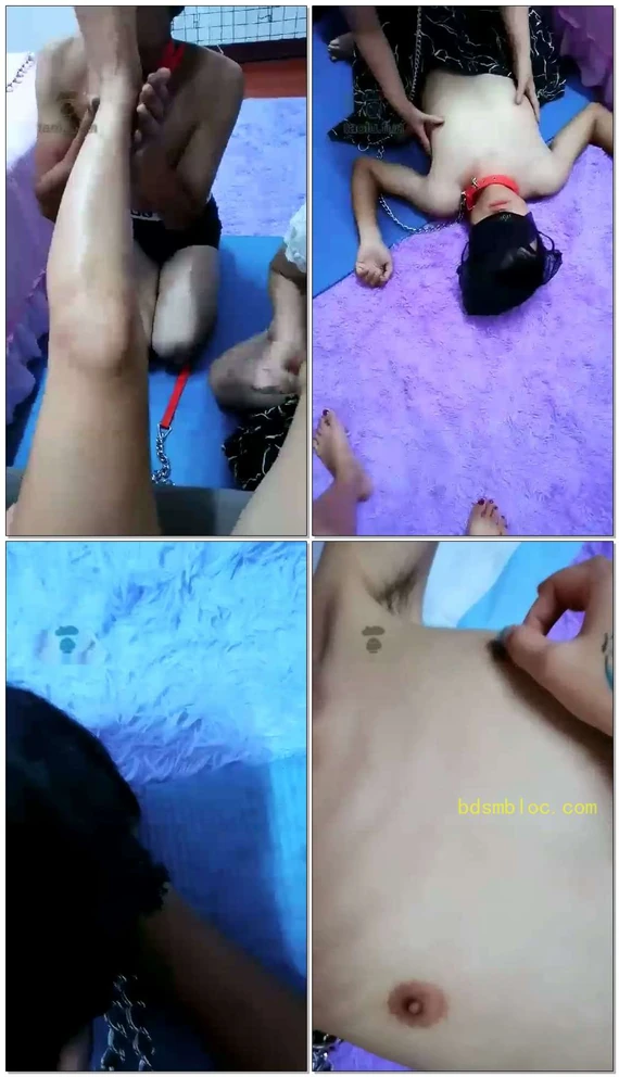 【蝶恋花S】调教母子奴，一公一母