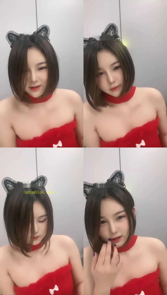 【S曼陀罗S】拥有猫咪