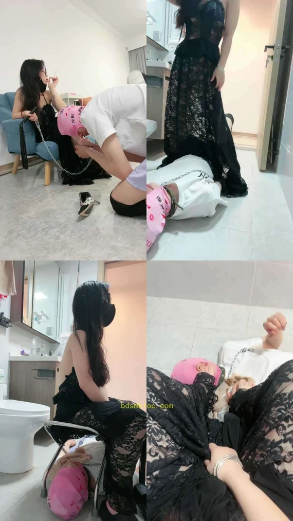 【薇薇】又一只求开发黄金的狗