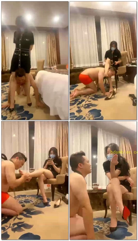 【猫禾虞的滔滔】禾未主人玩贱狗滔