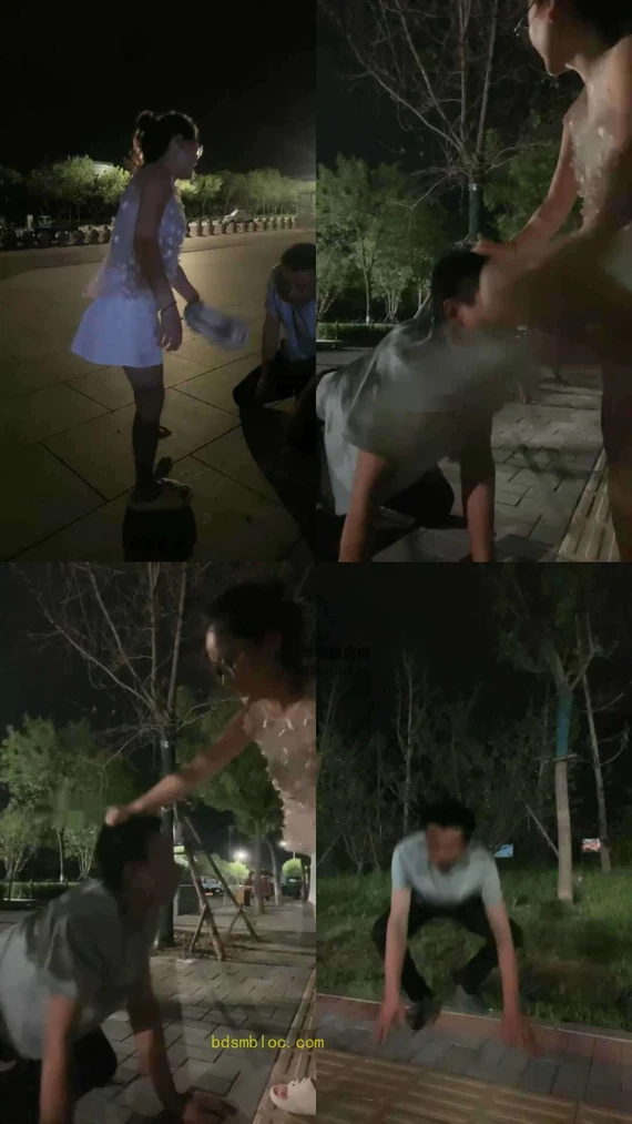 【依然大大】户外调狗