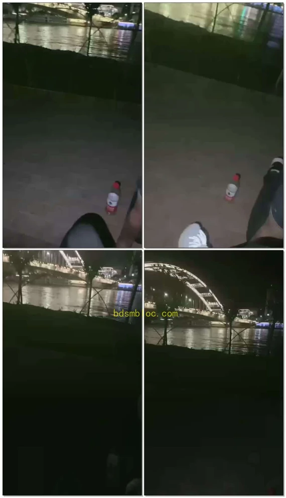 【甜心】户外调教狗