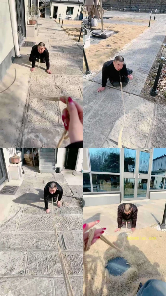 【沅芷】圈养犬化-户外狗链遛狗