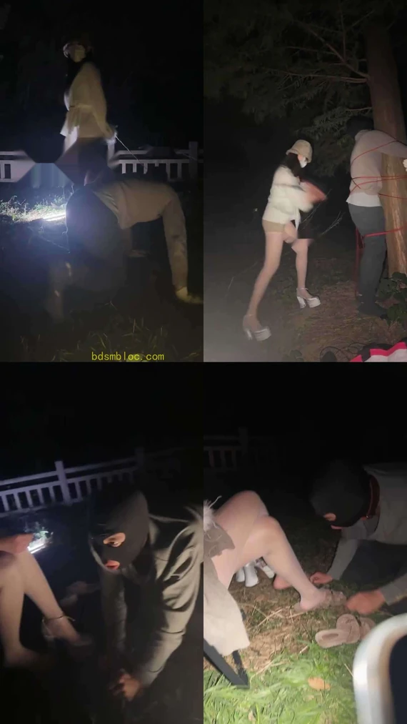 【沙悟静s】户外深喉耳光遛狗