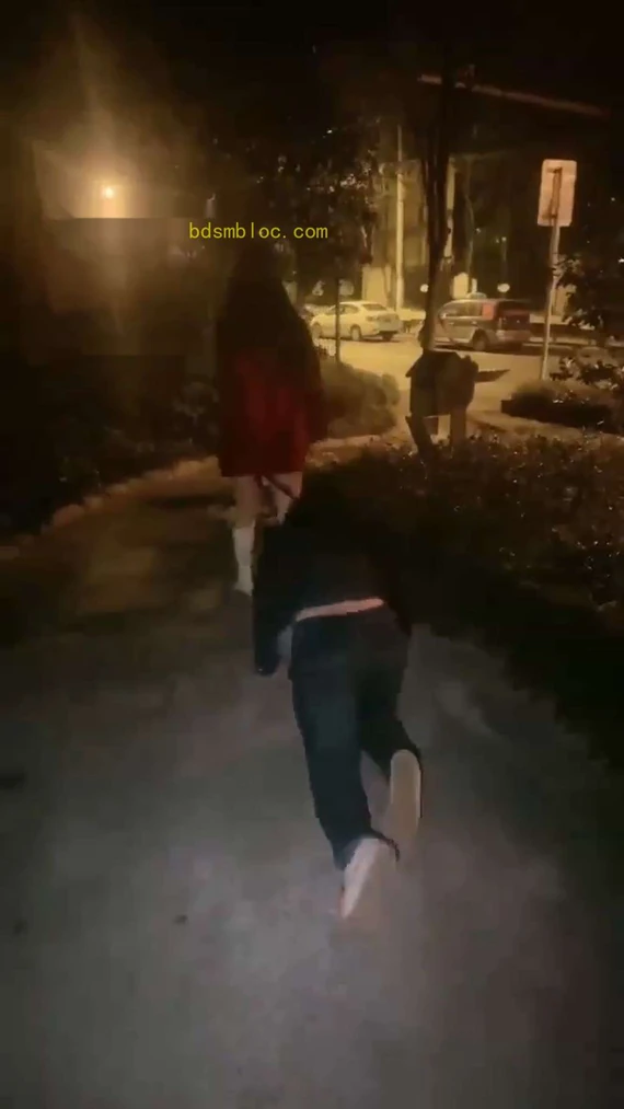 【司宁青】剧情室外调教深夜暴虐尾随的狗奴