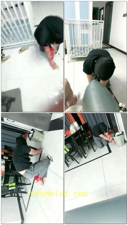 【黛樱】开发奴隶狗增强奴性家奴生活伺候