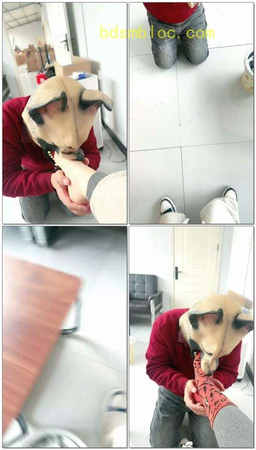 【小原妈妈sss】主人带狗奴工作吃我吐出来的剩饭口水