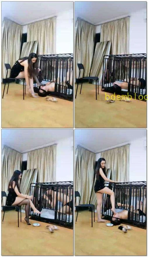 【微希】]出轨渣狗被女王关进狗笼卑贱无比