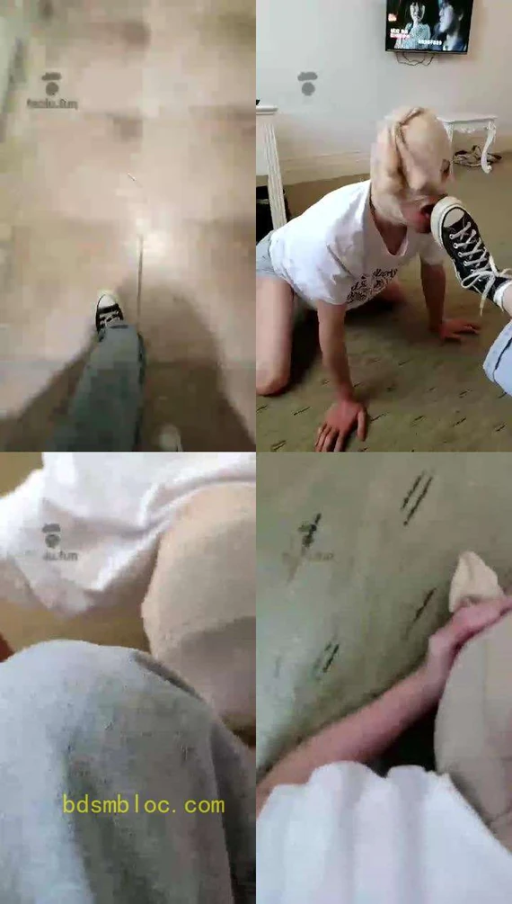 【哈宝】修复版 玩一只自称王者的狗