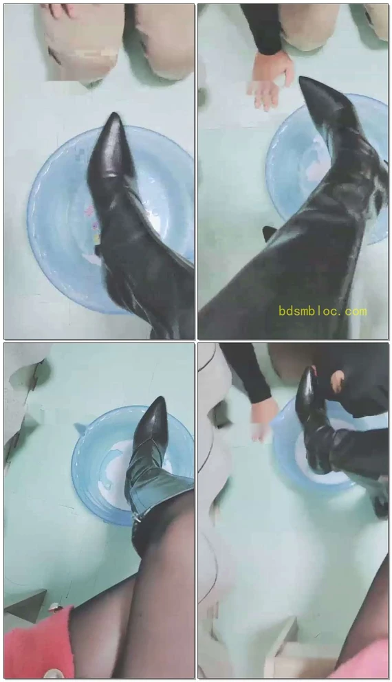【灵竹】长靴喂食