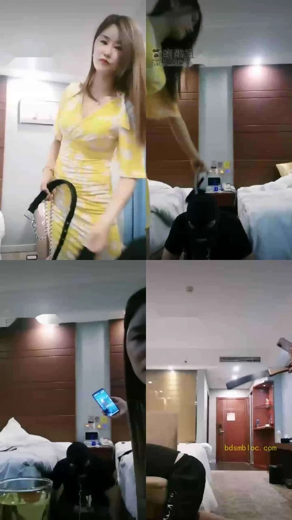 【雅丽女神】带新手狗狗入圈