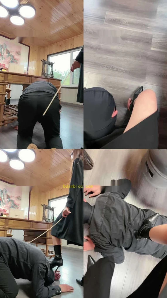 【沅芷】御姐范严厉鞭打贱狗