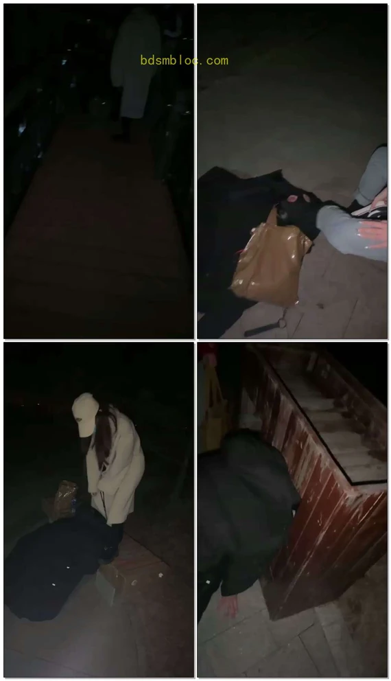 【樱木花椒】和诗诗深夜户外公园溜溜家犬
