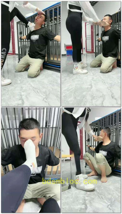 【喵主S】TJ耳光调教贱狗