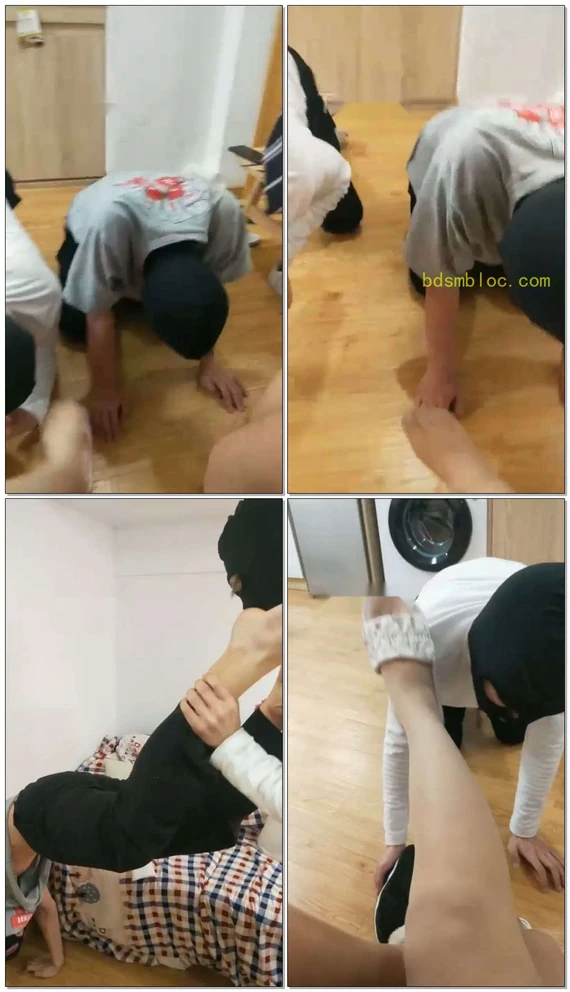 【关关S】三姐妹调教双狗