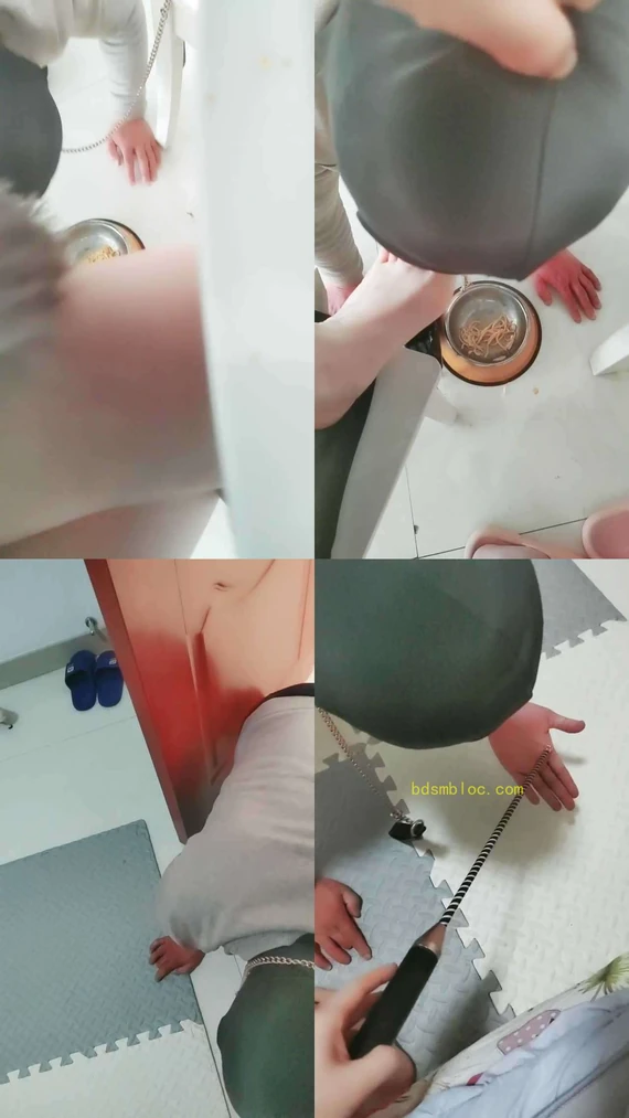 【西老师】狠虐老狗